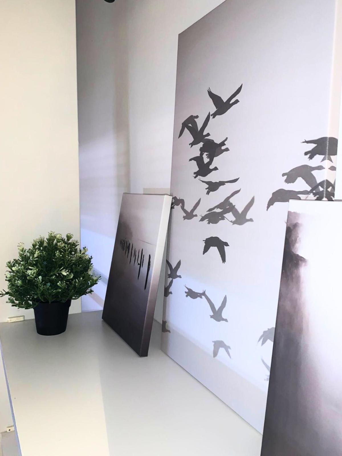 Bellaria Beach Apartments المظهر الخارجي الصورة